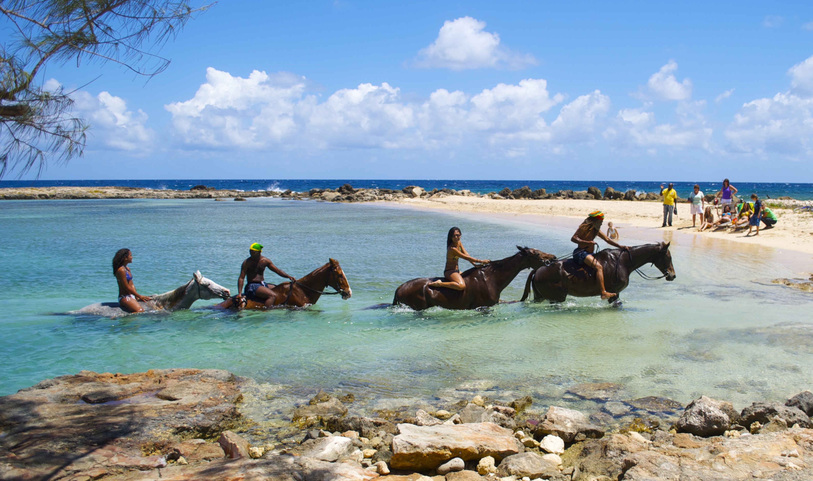 Beach Horseback Ride and Swim